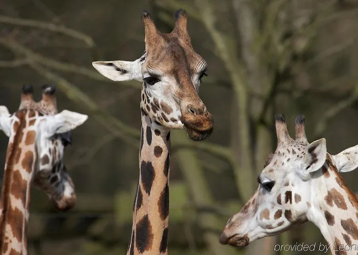 Fletcher Hotel-restaurant Kasteel Erenstein Kerkrade